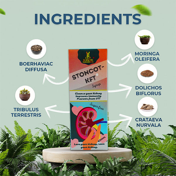 Stoncot-KFT Syrup – Herbal Support for Kidney Health