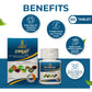 Accugrow Tablets – Multivitamin & Mineral Supplement for Optimal Wellness