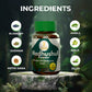Madhushull Care Kit – Ayurvedic Support for Sugar & Diabetes Management