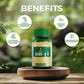 DB-11 Ayurvedic Diabetes Support – Control Sugar Naturally in Just 50 Days