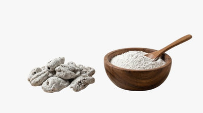 Kauri Bhasma
